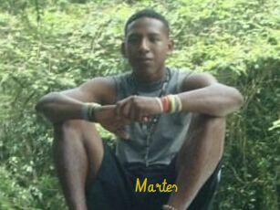 Martes