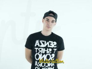 Mattestallion