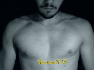 Mecchaud123