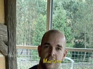 Meesterv