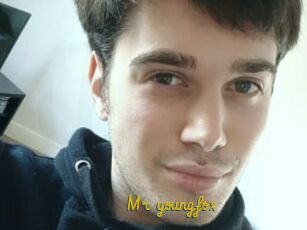 Mr_youngfox