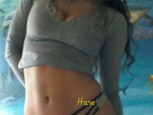 Hase