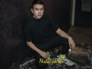NateSparks