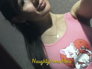 NaughtyHomeAlone