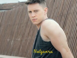 Neilgaviria