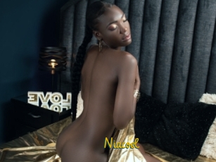 Niacoel