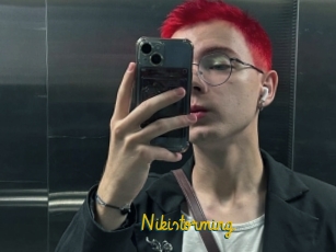 Nikistorming
