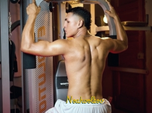 noahvolkov Porno TV