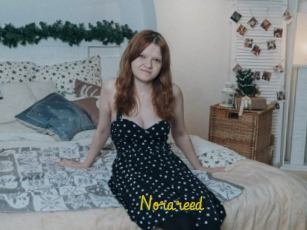 Norareed