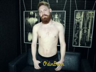 OdinBurn