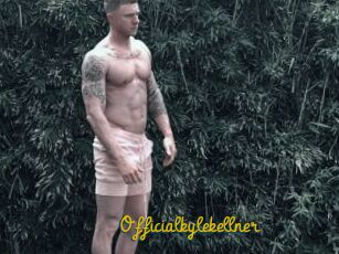 Officialkylekellner