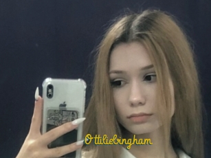 Ottiliebingham