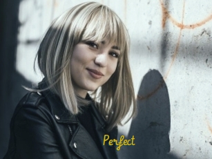 Perfect Porno TV