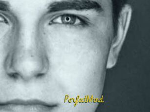 PerfectMind