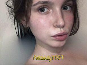 Pettitekitty1107