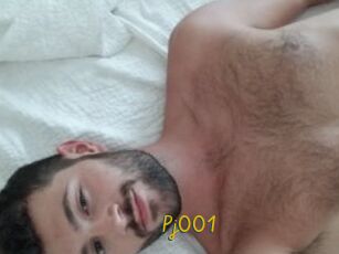 Pj001