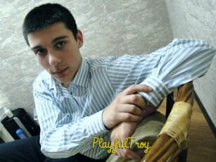 PlayfulTroy