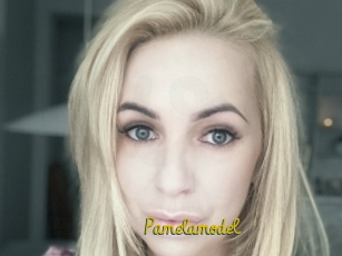 Pamelamodel