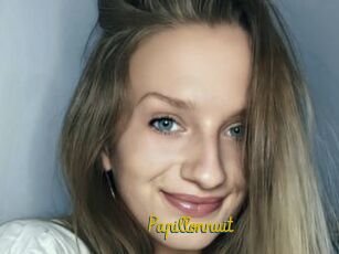 Papillonnuit