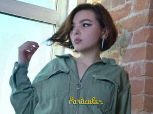 Particular