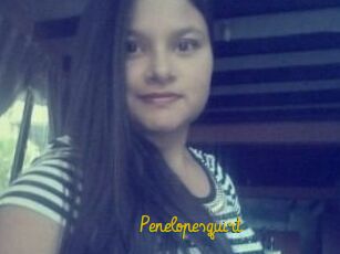 Penelopesquirt