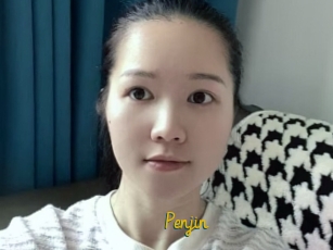 Penjin