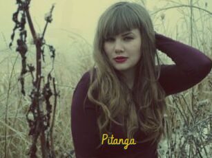 Pitanga