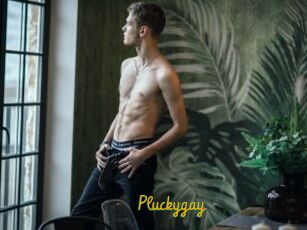 Pluckygay
