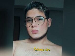Polomarks