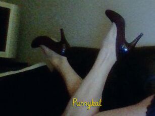Pussykat
