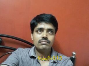 Rahul4873