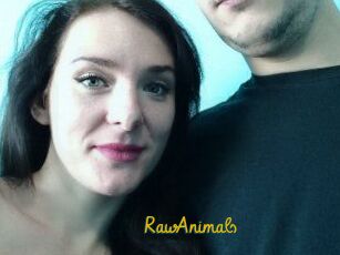 RawAnimals
