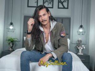 RaySullivan
