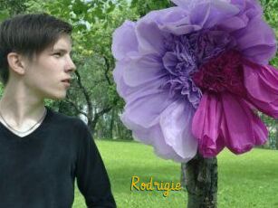 Rodrigie