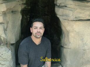 Salruscica