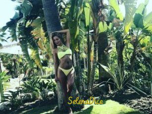 SelenaDice
