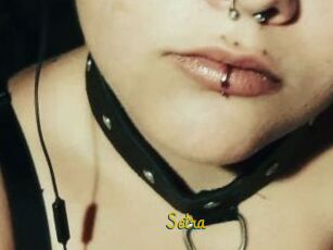 Setra