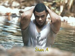 Shein_A