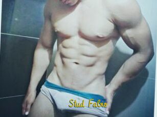 Stud_Fabio