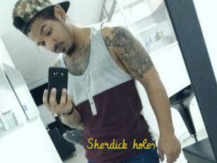 Sherdick_holes