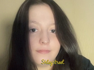 Shleystreel