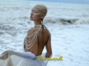 Silverdwinell