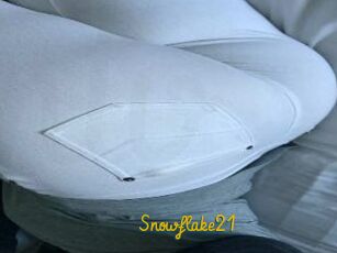 Snowflake21