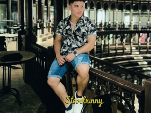 Stevebunny