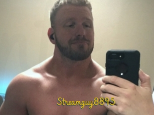 Streamguy8895