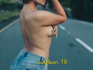 Sunflower_18