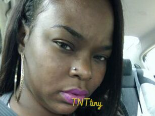 T_N_Ttiny
