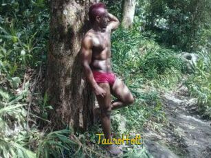 Tauro_Hott