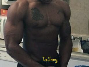 TecSavy