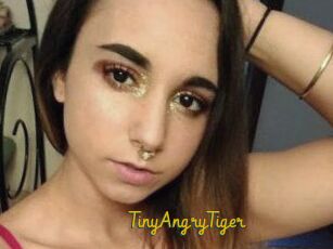 TinyAngryTiger